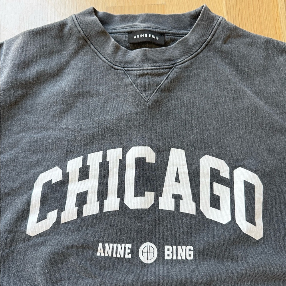 Anine Bing sweatshirt. Size S. Washed blacked, grey color. Great condition!
